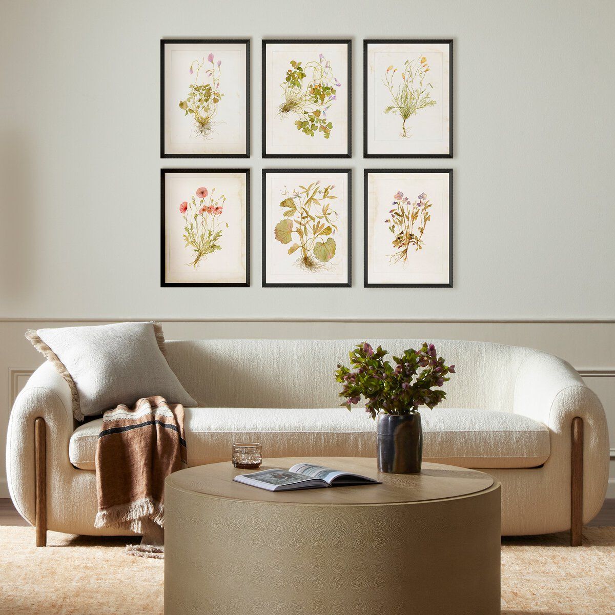 Herbarium Set By Laurel-dawn Latshaw