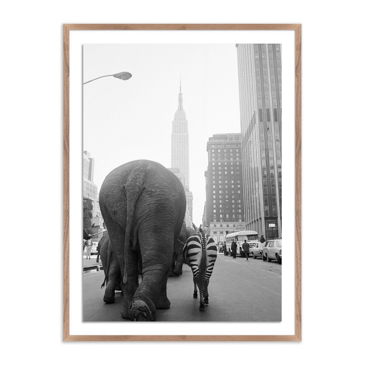 Circus Animals On 33rd St By Getty Images