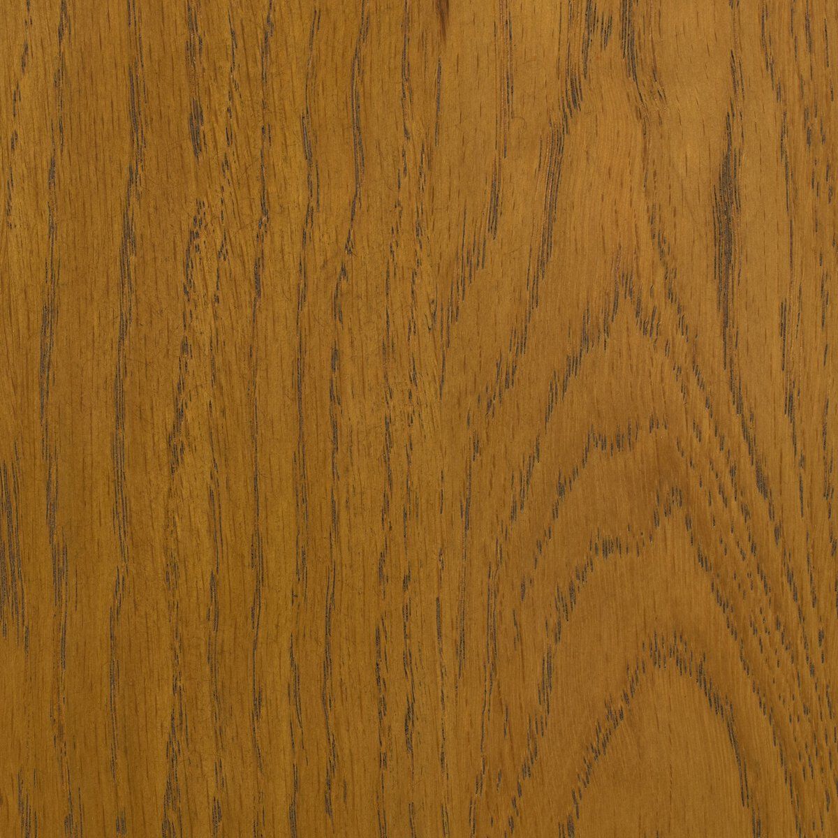 Ripley Bar + Counter Stool
