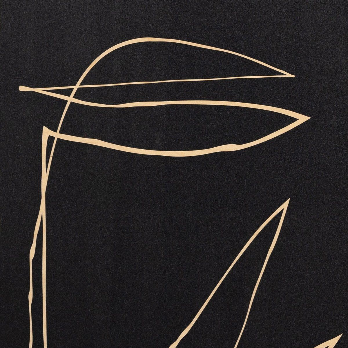 Abstract Botanic Line Drawing By Roseanne Kenny