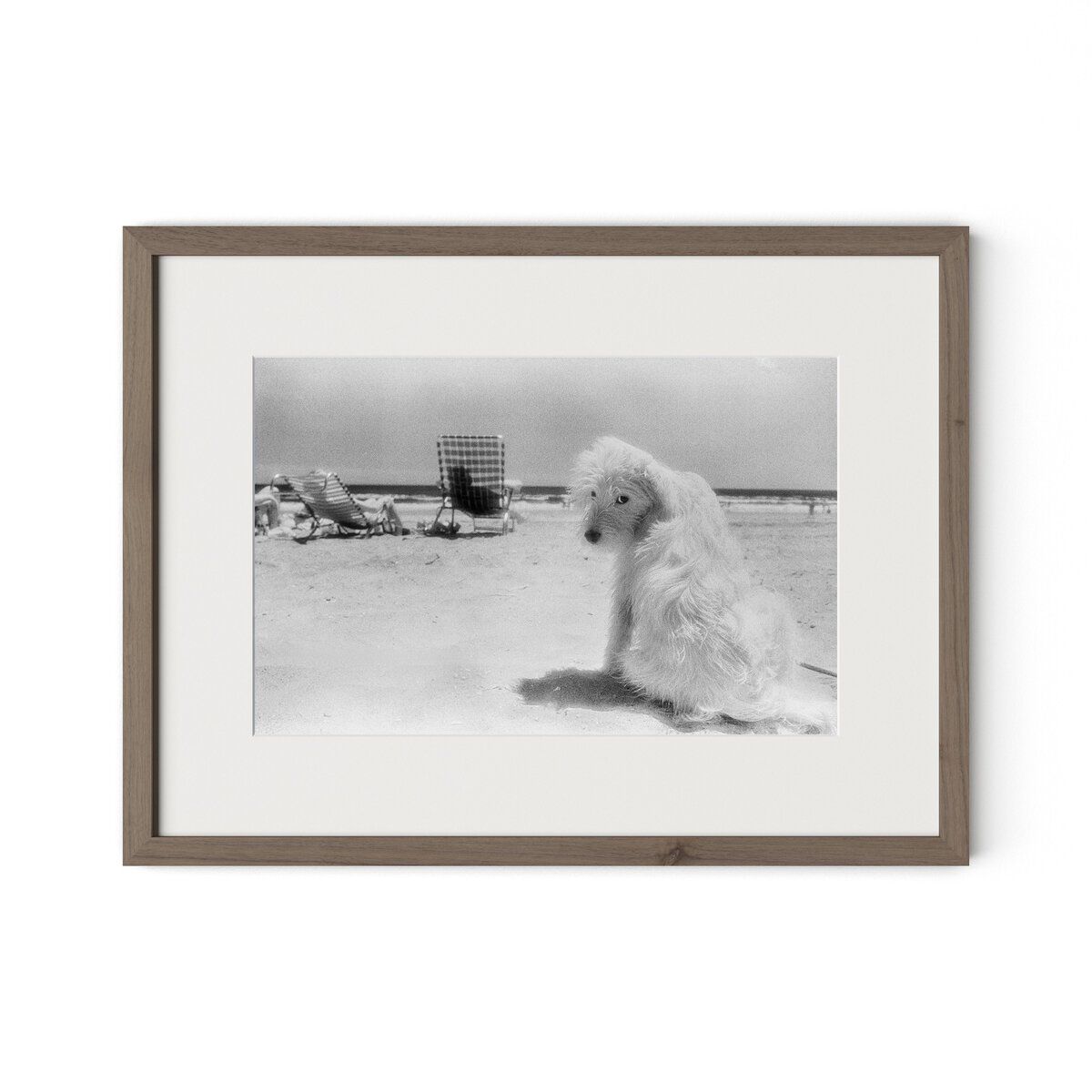 Lois At The Beach By Barbara Alper