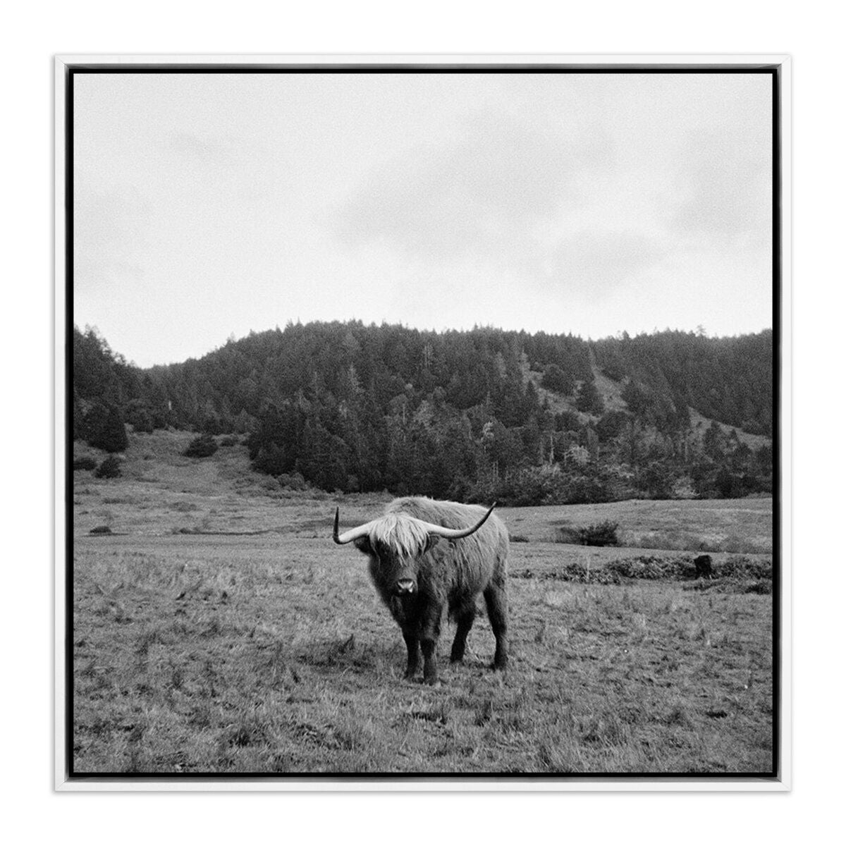 Highlander / Elk, Ca By Wesley And Emma Teague