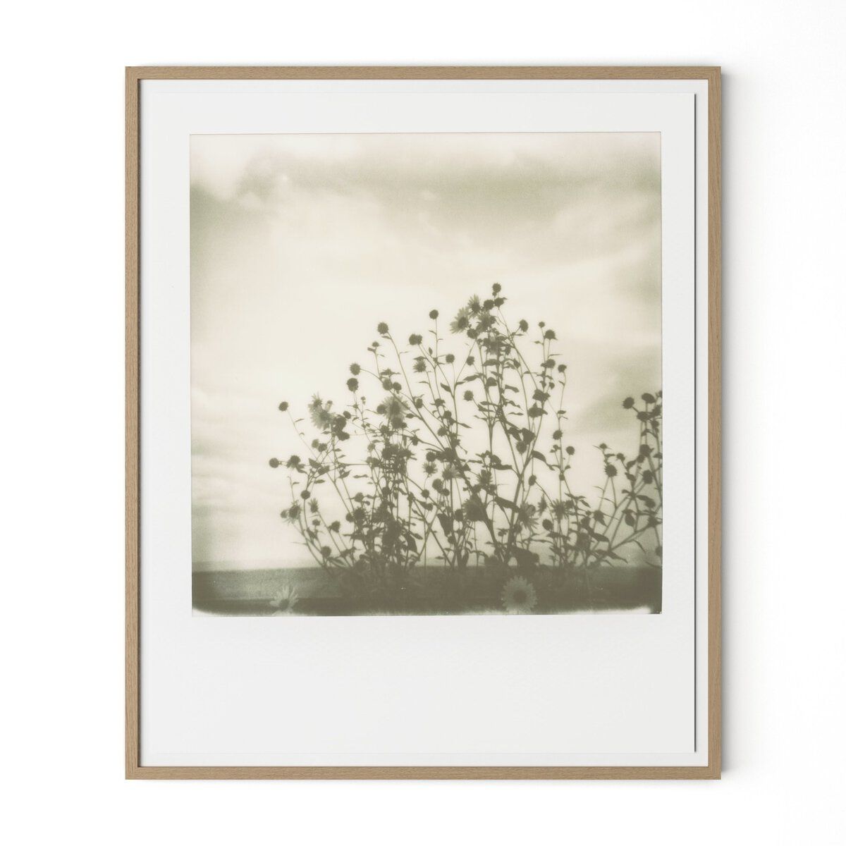 Sunflowers By Darden Smith