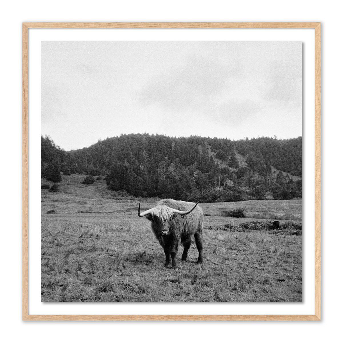 Highlander / Elk, Ca By Wesley And Emma Teague