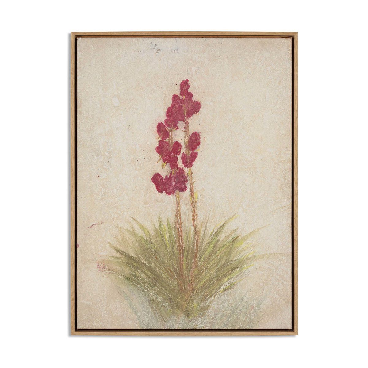 Yucca By Paul Meyer