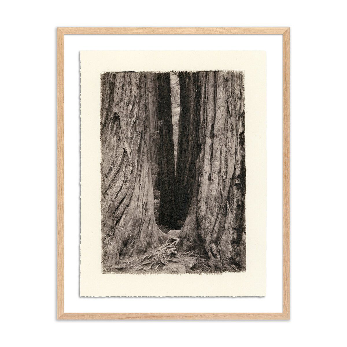 Redwoods Magical Portal By Platinum Revival