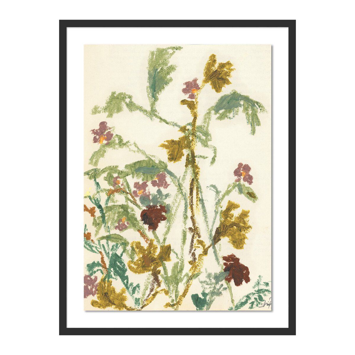 Meadow Rue 1 By Shaina Page