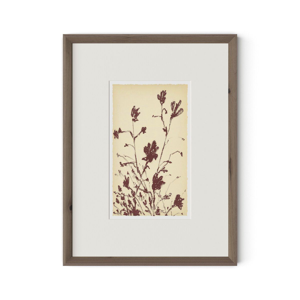 Meadow Rue No.3 By Shaina Page