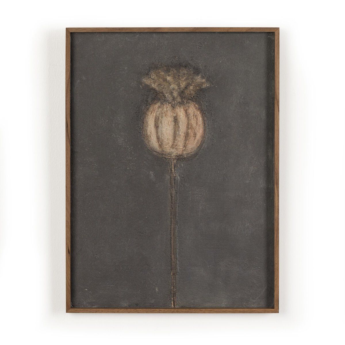 Poppy Noche By Paul Meyer