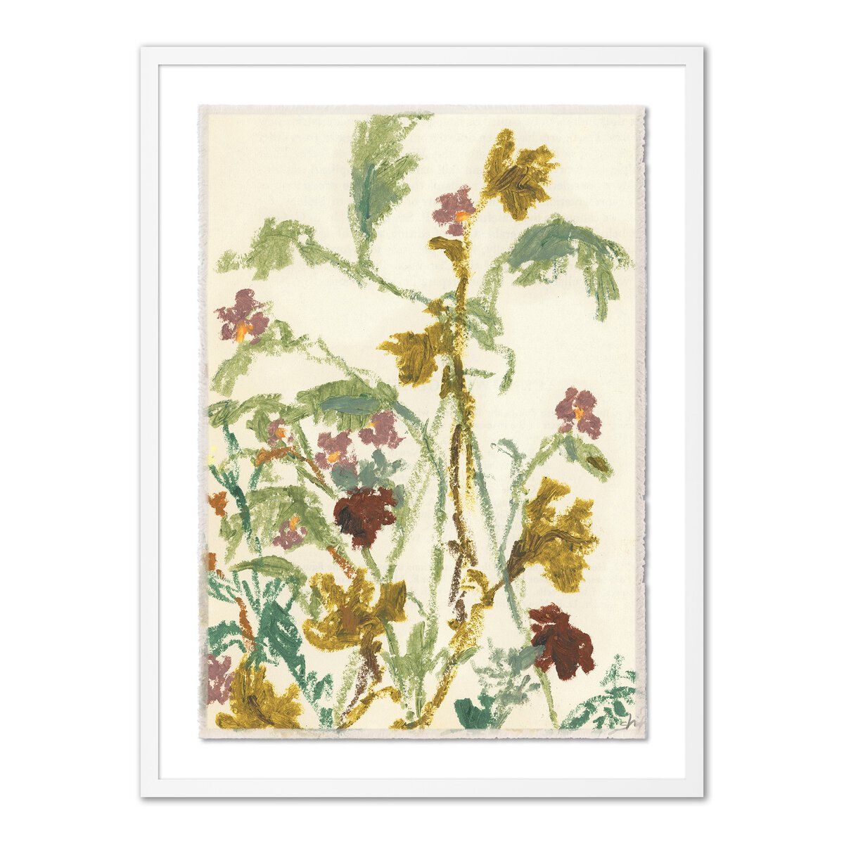 Meadow Rue 1 By Shaina Page