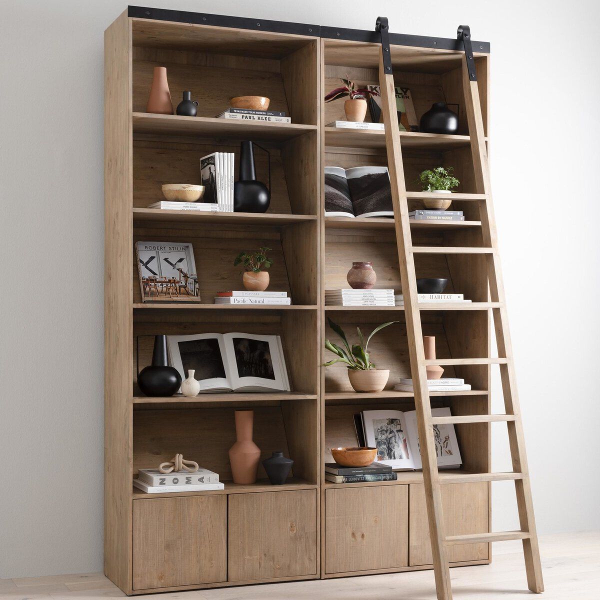 Bane Bookshelf