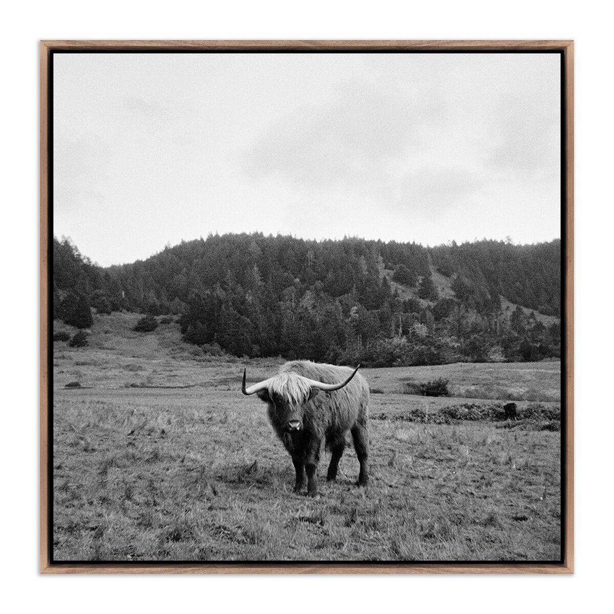 Highlander / Elk, Ca By Wesley And Emma Teague