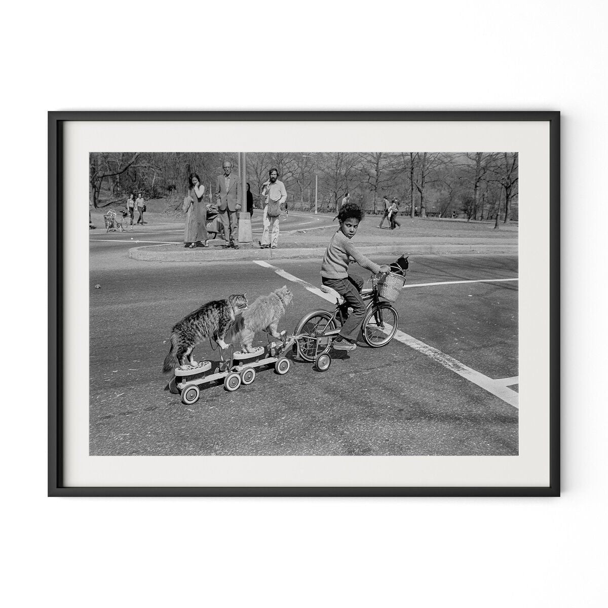 Taking The Cats For A Ride By Barbara Alper