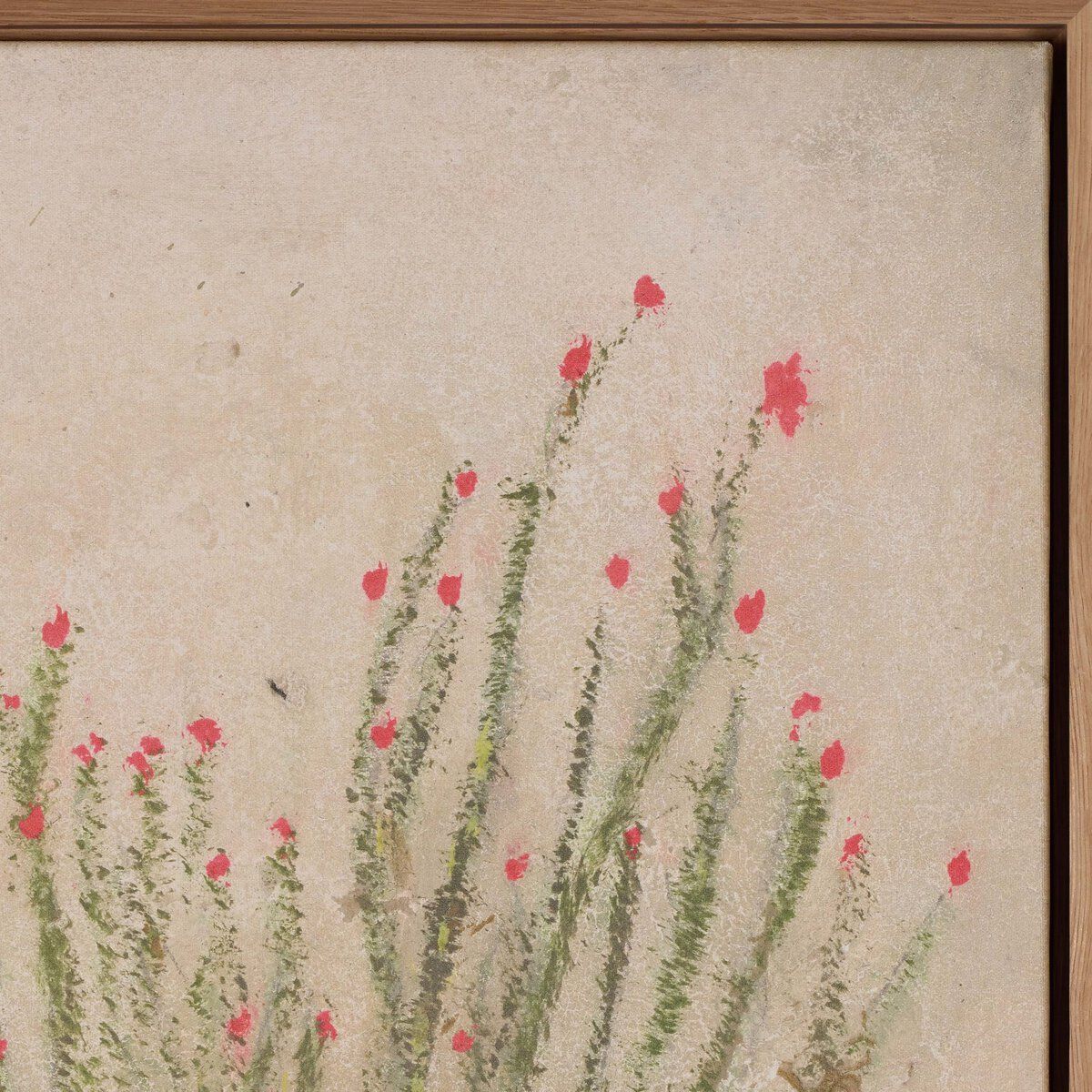 Ocotillo By Paul Meyer