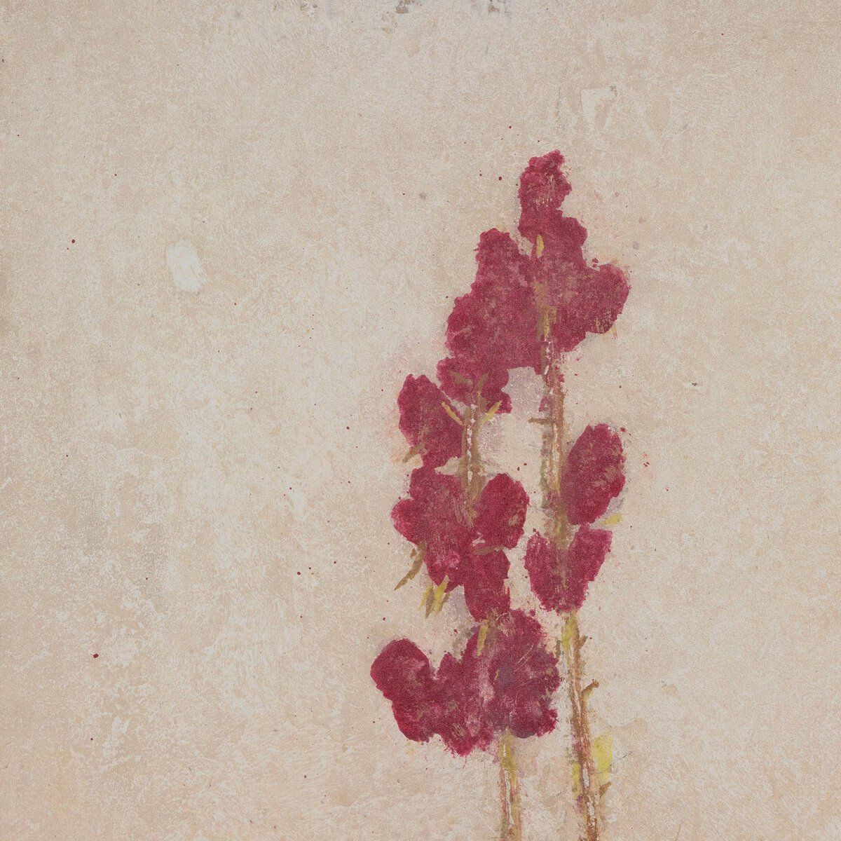 Desert Flora Triptych By Paul Meyer