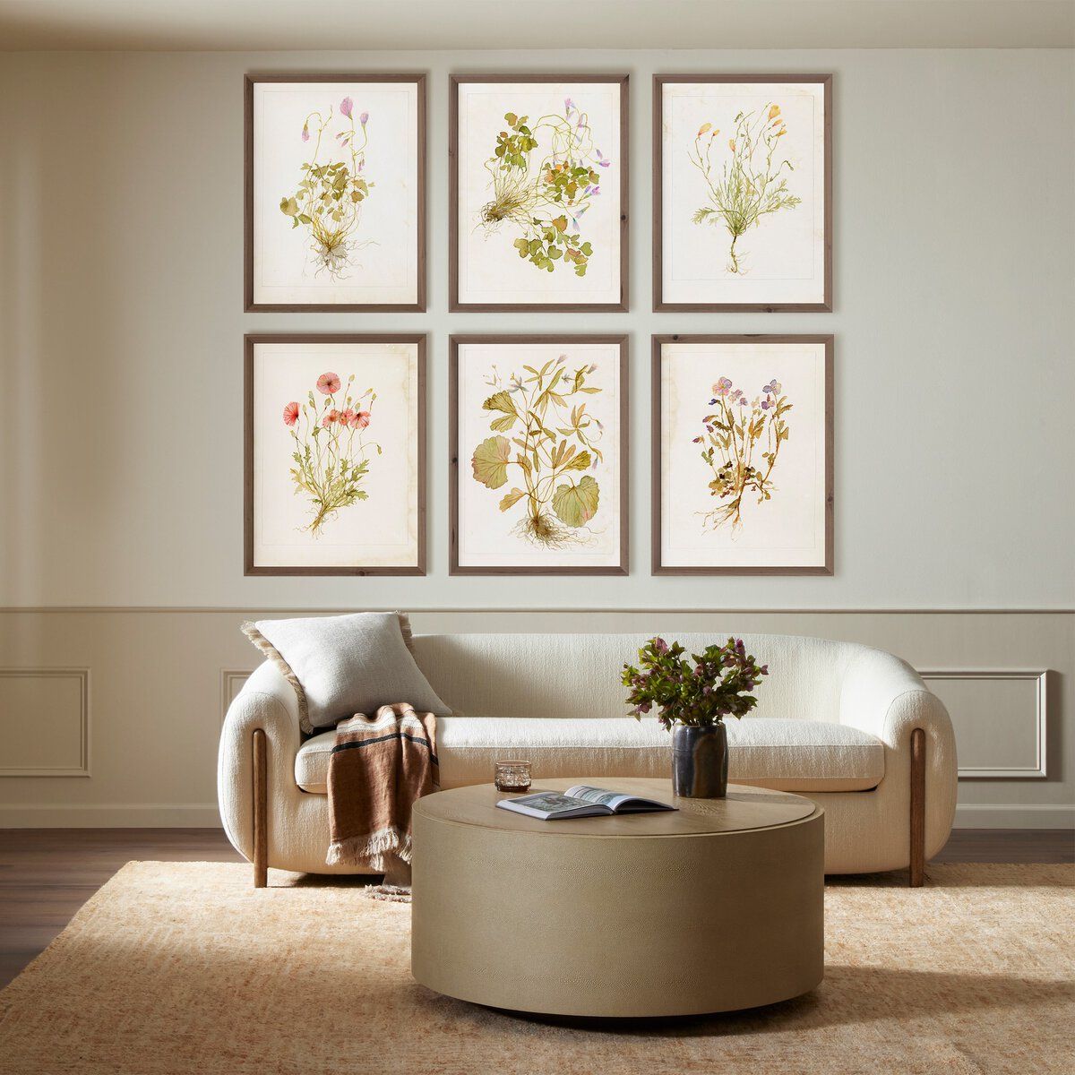 Herbarium Set By Laurel-dawn Latshaw