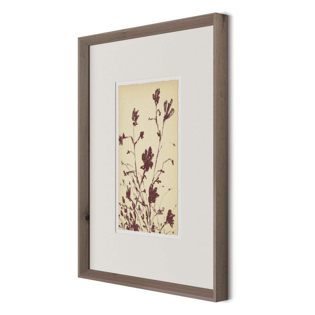 Meadow Rue No.3 By Shaina Page