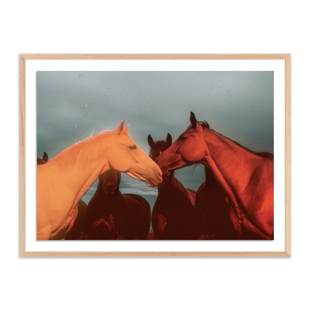 Sunset Horses By Coup D'esprit