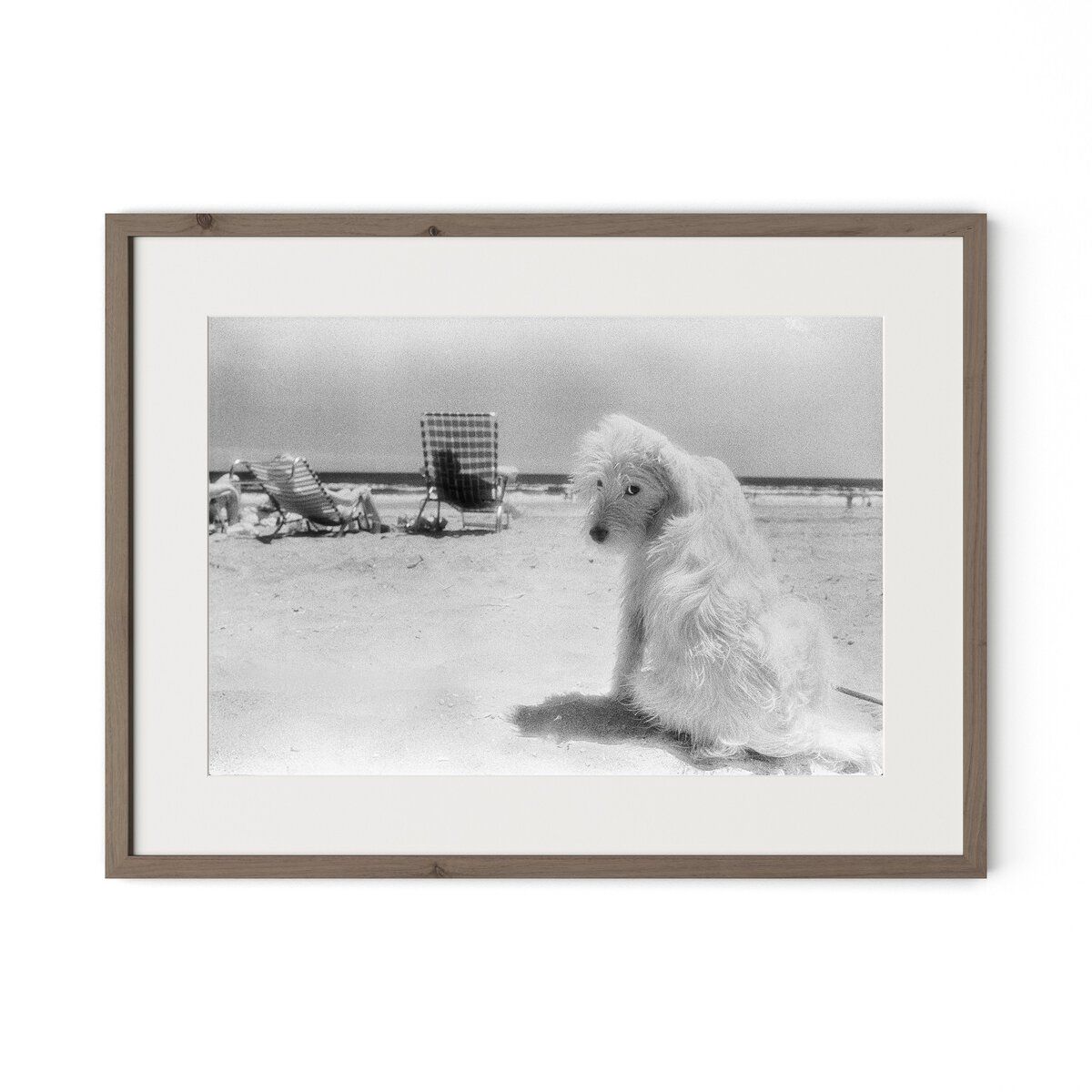 Lois At The Beach By Barbara Alper