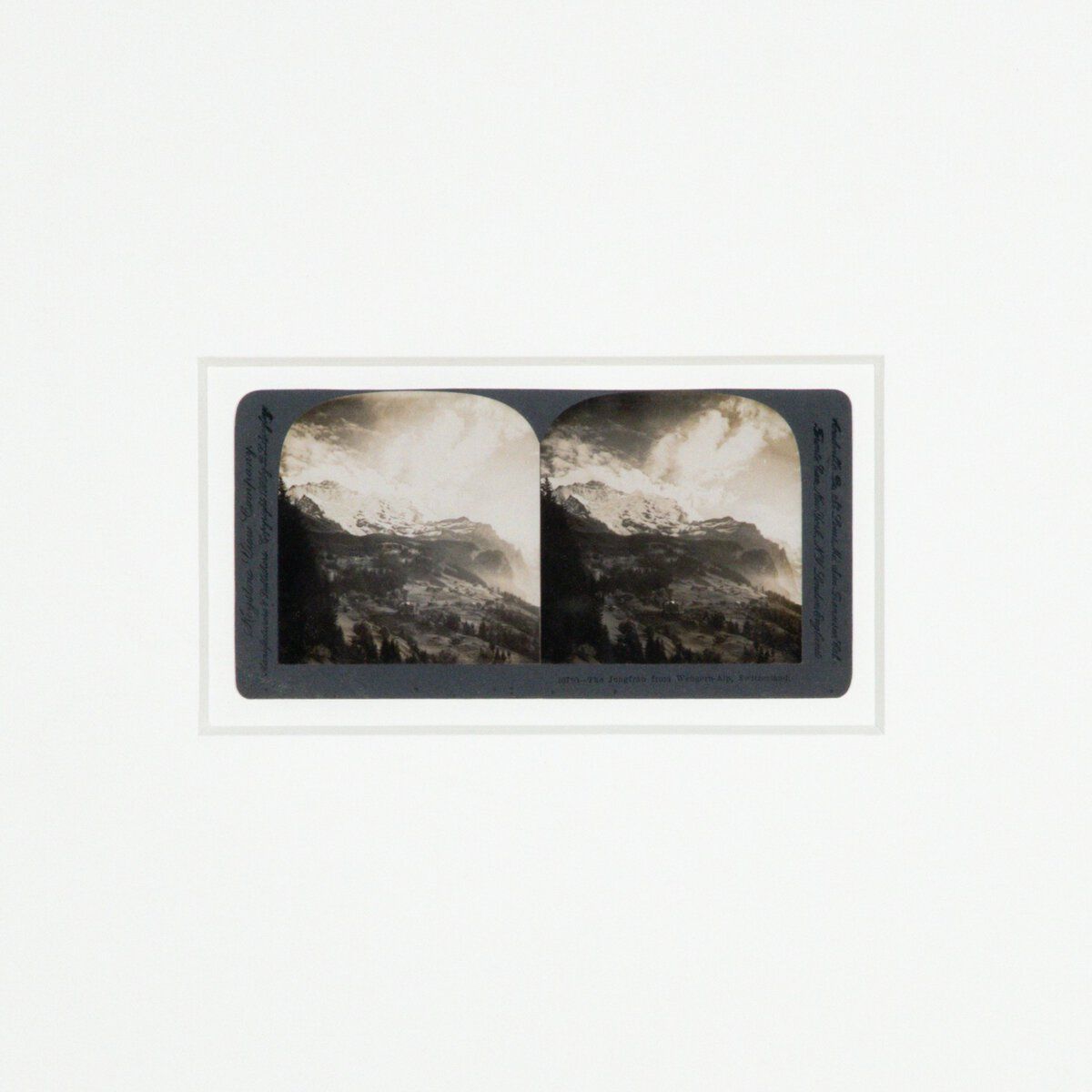 Swiss Alps By Gold Rush Art Co
