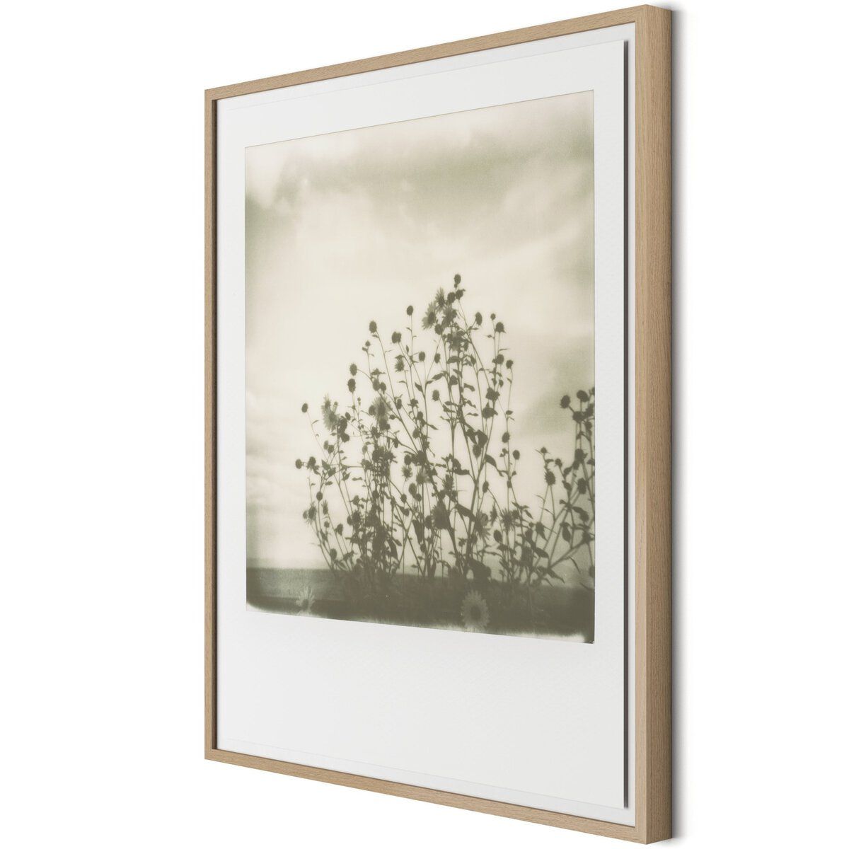 Sunflowers By Darden Smith