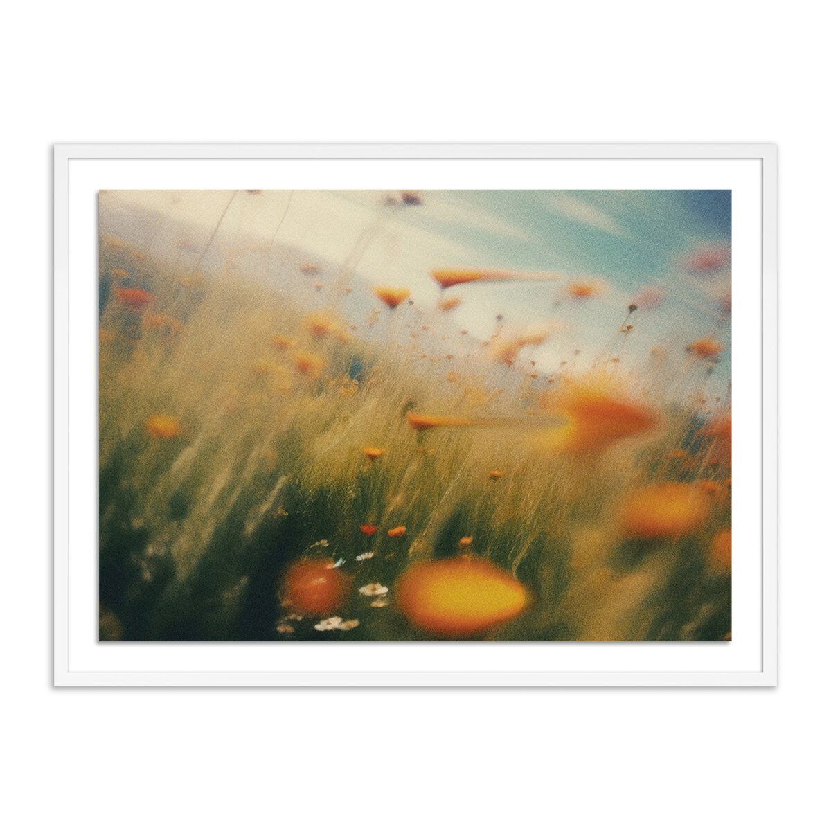 Prairie I By Coup D'esprit