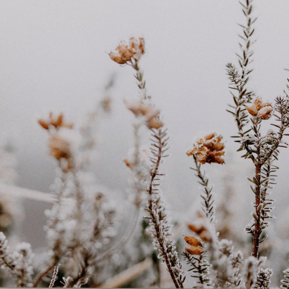 In The Details Ii By Annie Spratt