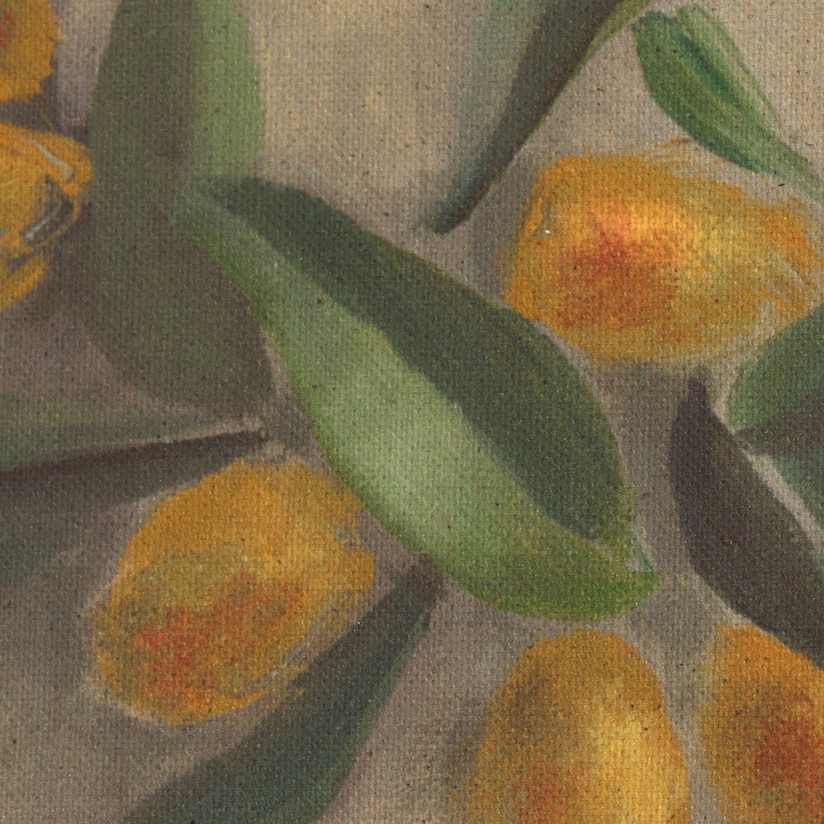 Citrus Still Life By Jess Engle