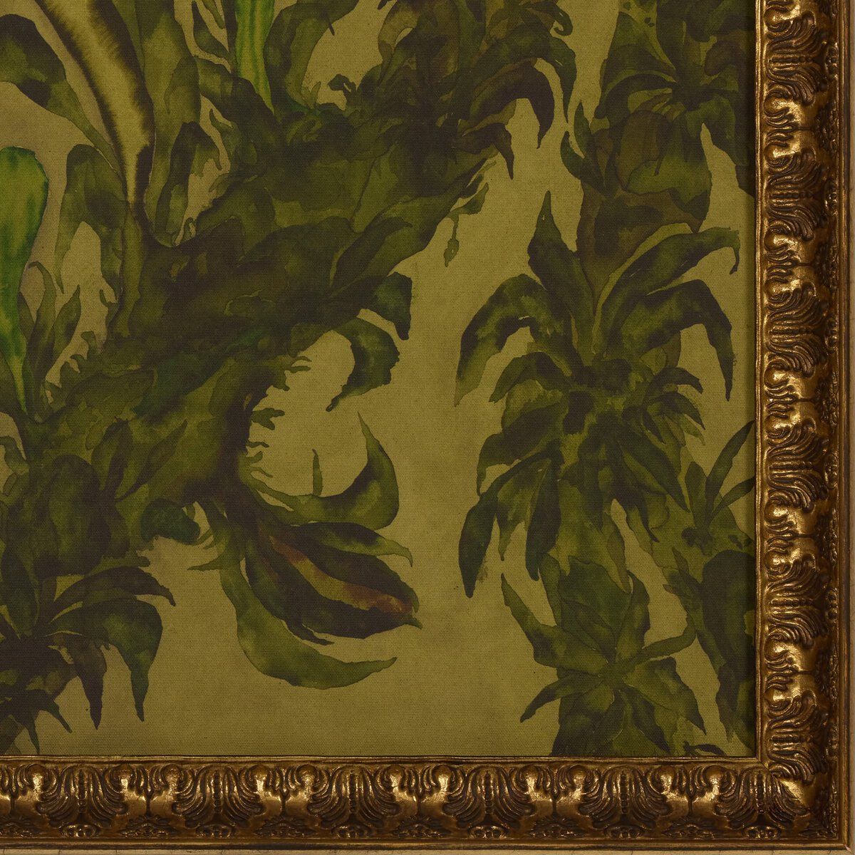 Epiphytes By Molly Franken