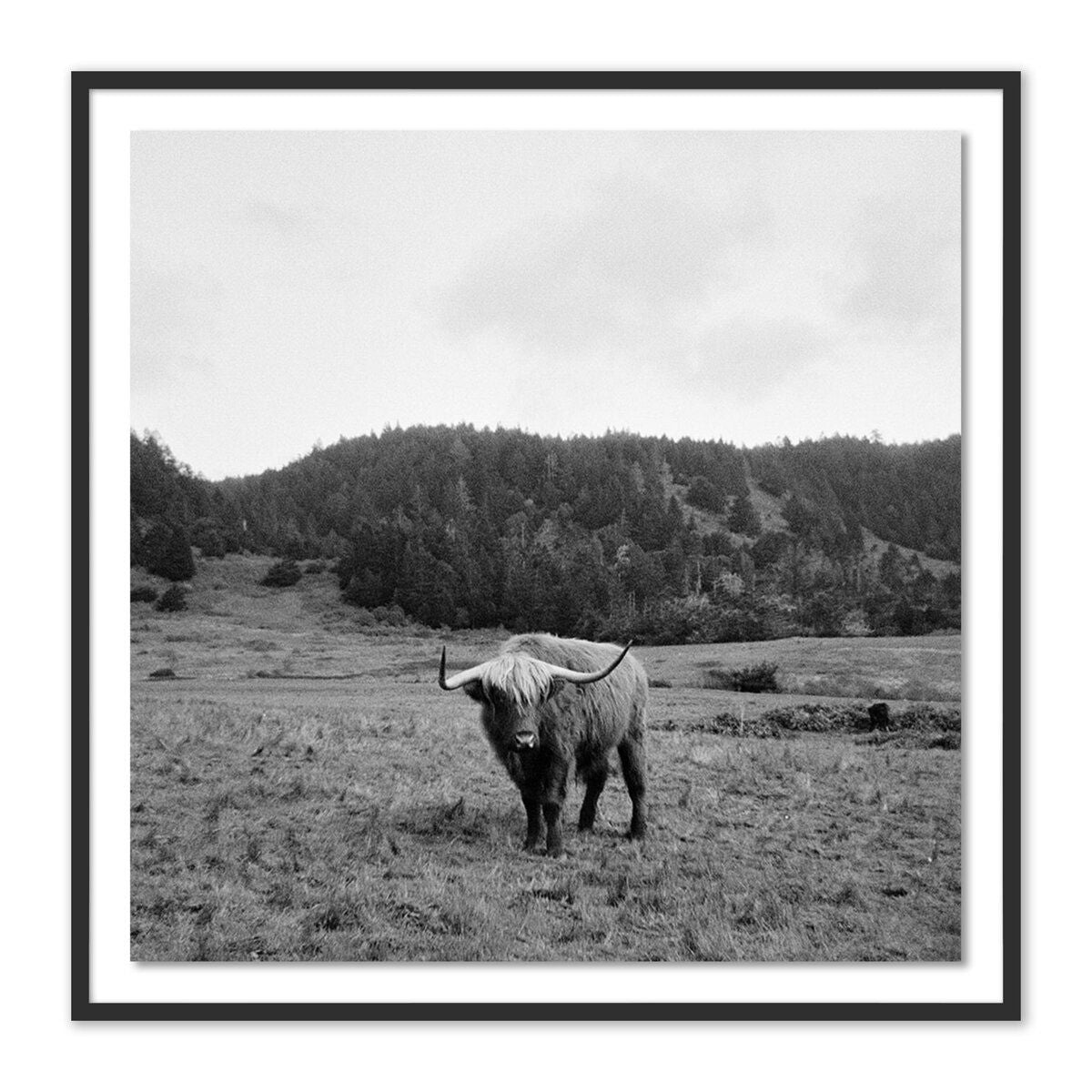 Highlander / Elk, Ca By Wesley And Emma Teague
