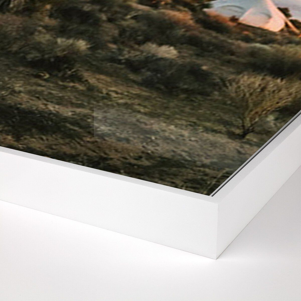 Camp Sunrise/joshua Tree By Wesley And Emma Teague
