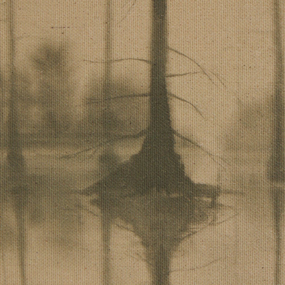 Reflection By Chelsea Fly