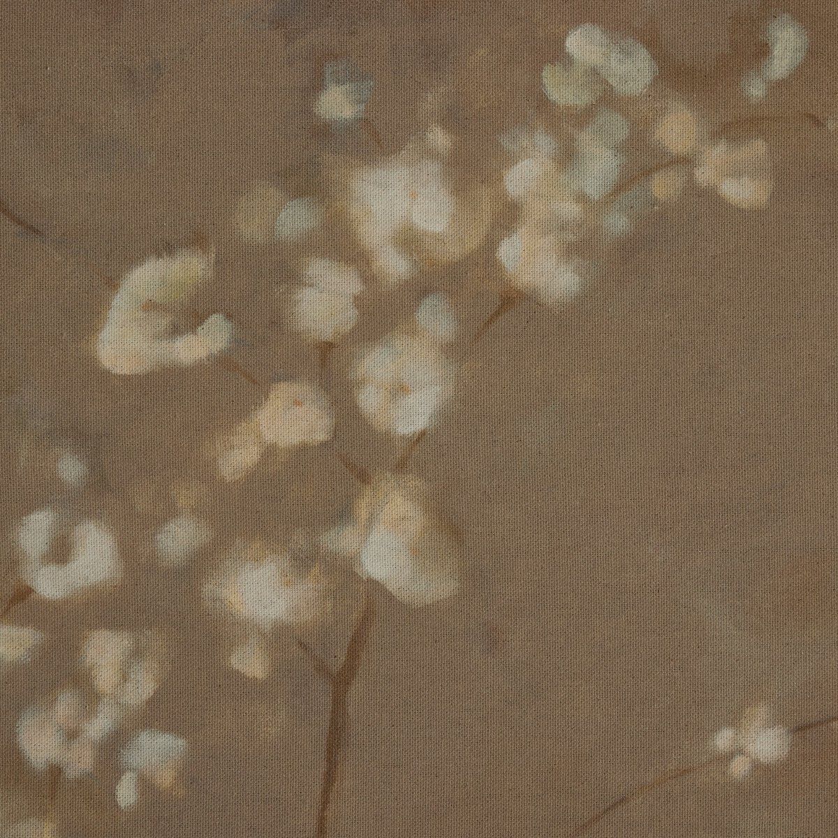 Sakura By Jess Engle
