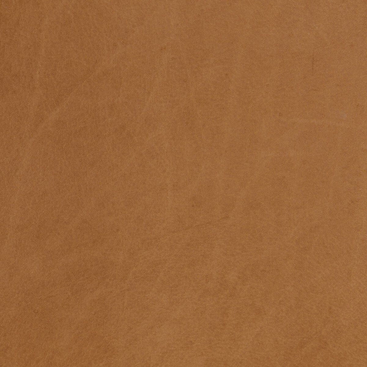 Arlow Dining Chair