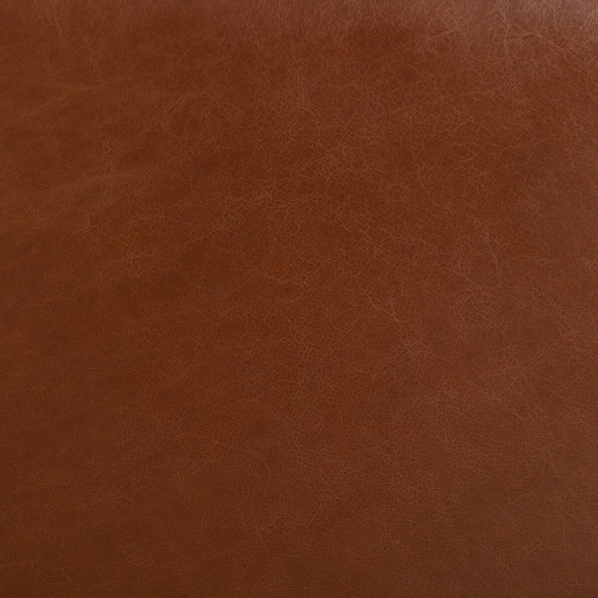 Neera Recliner