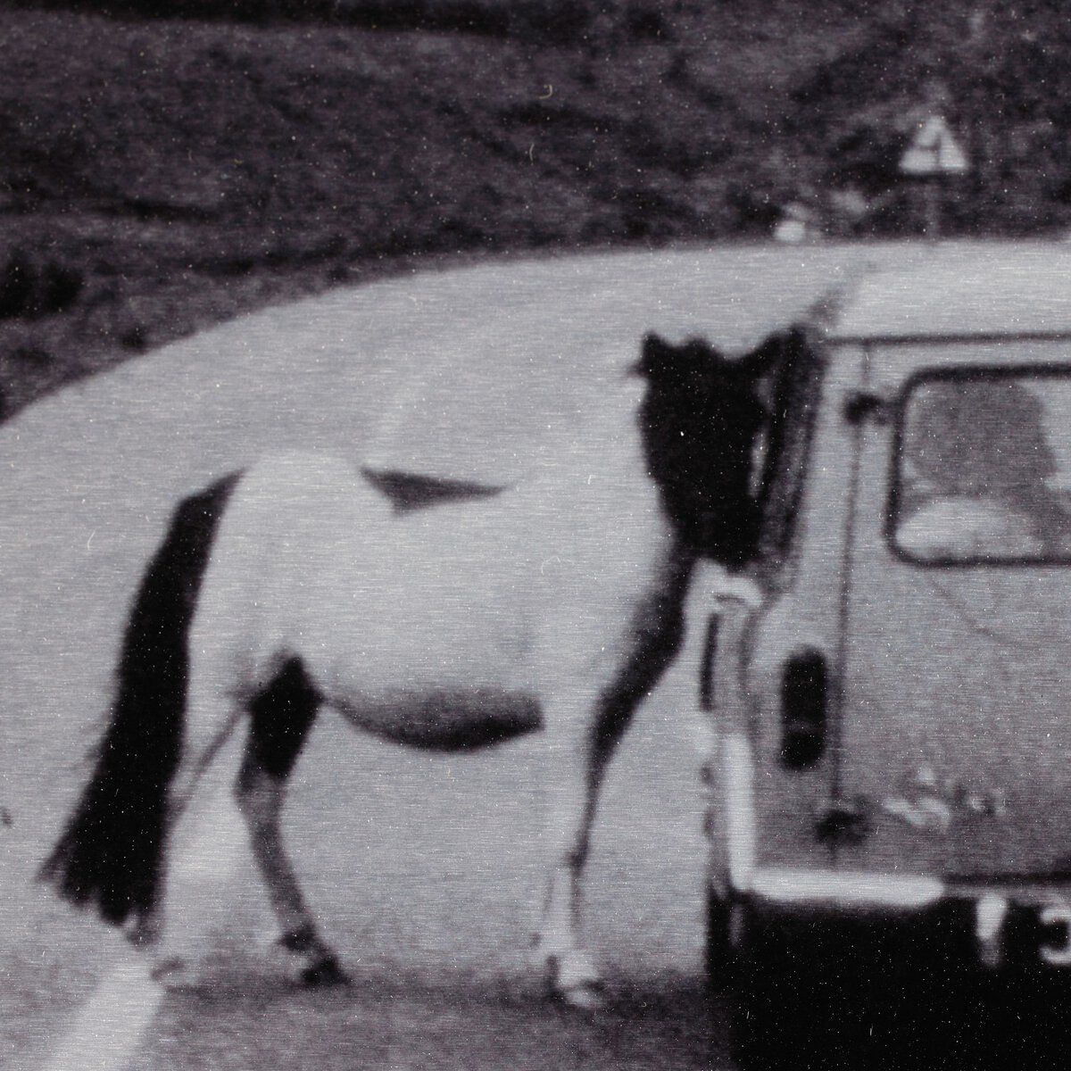 On The Road Iii By Annie Spratt