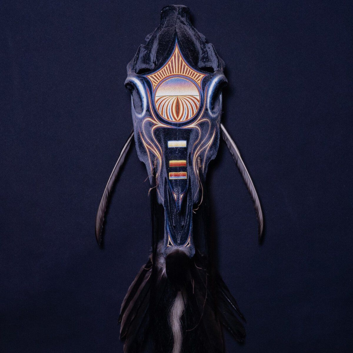 Black Horse Running By Boyd Elder