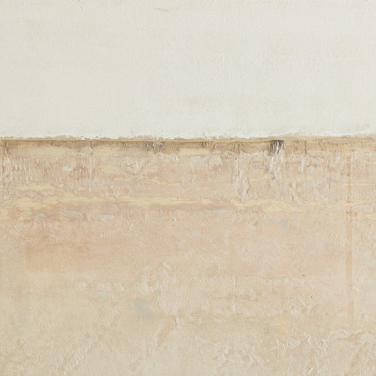 Coastal Desert By Paul Meyer