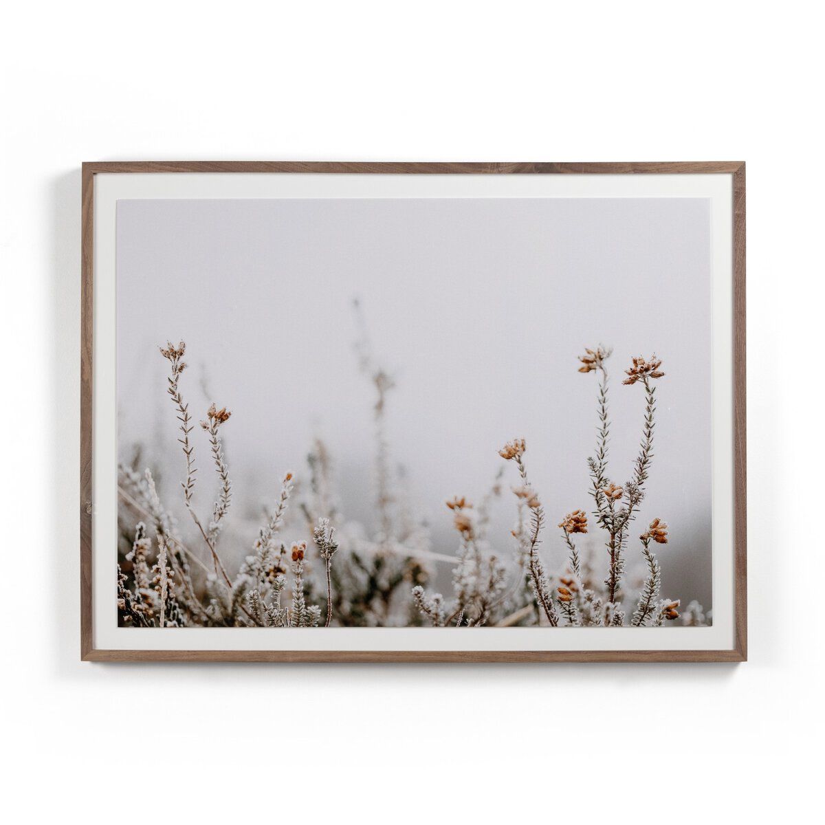 In The Details Ii By Annie Spratt