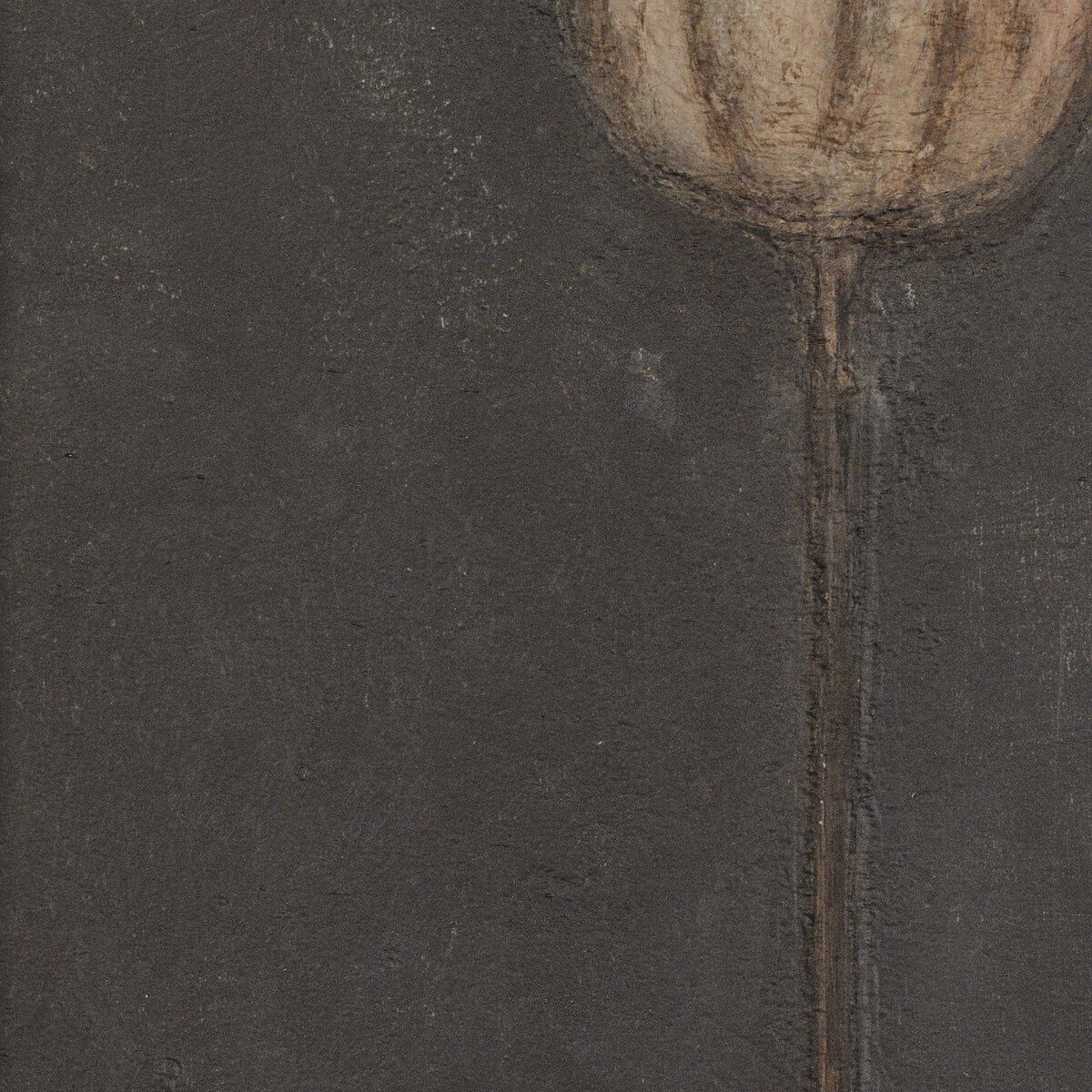 Poppy Noche By Paul Meyer