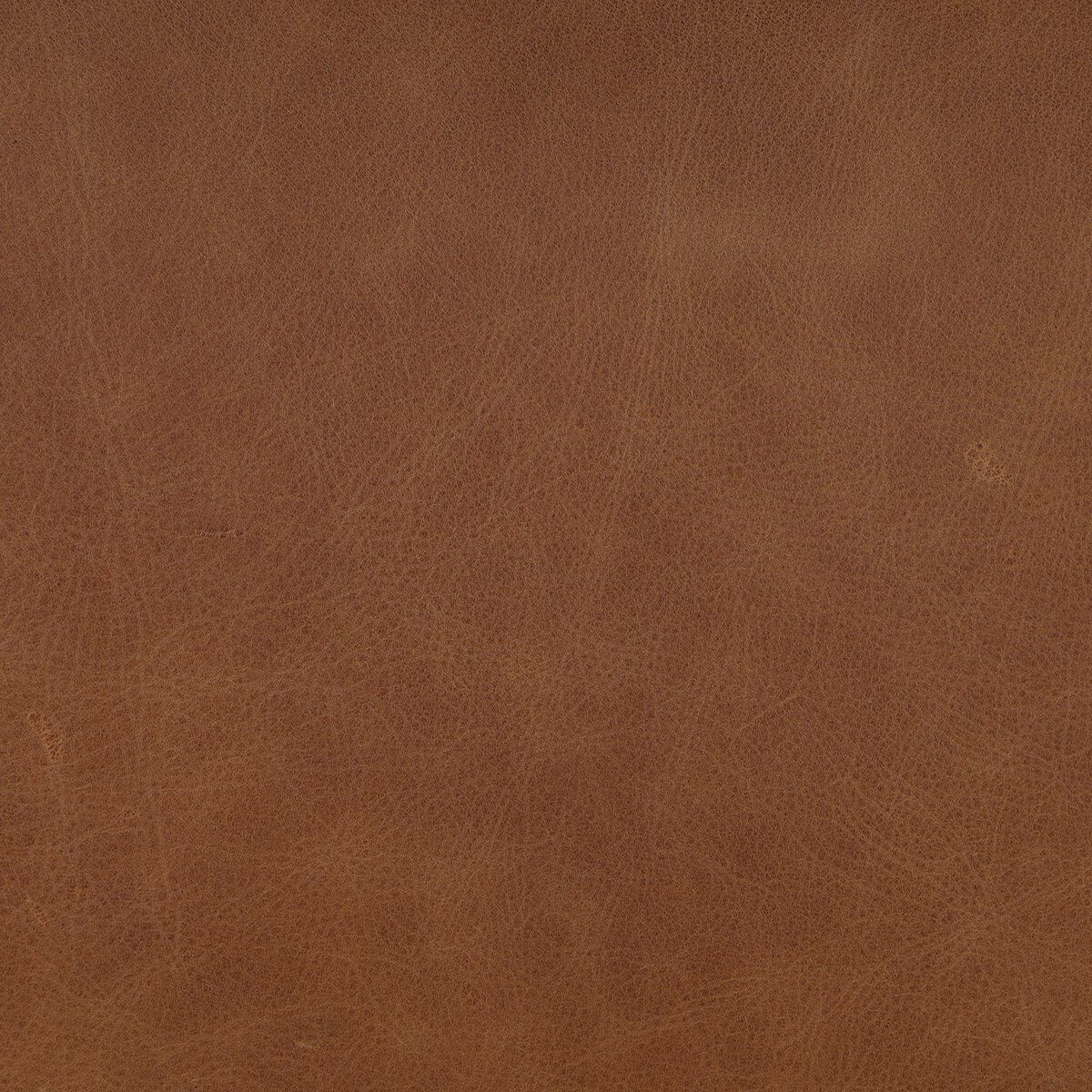 Ryver Dining Chair