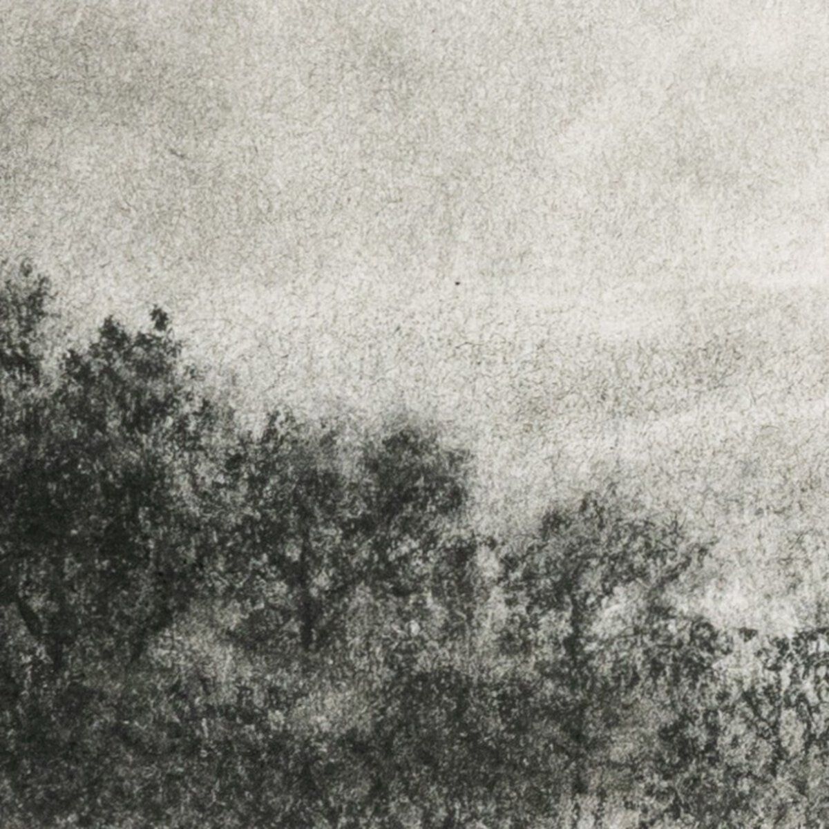 Hill Country Study I By Aileen Fitzgerald