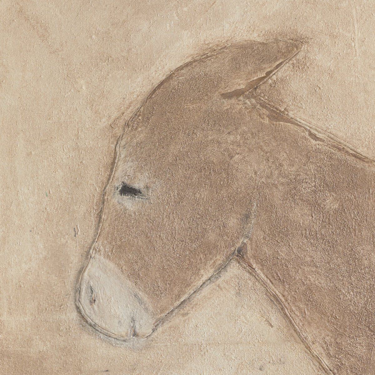 Burro Marron By Paul Meyer
