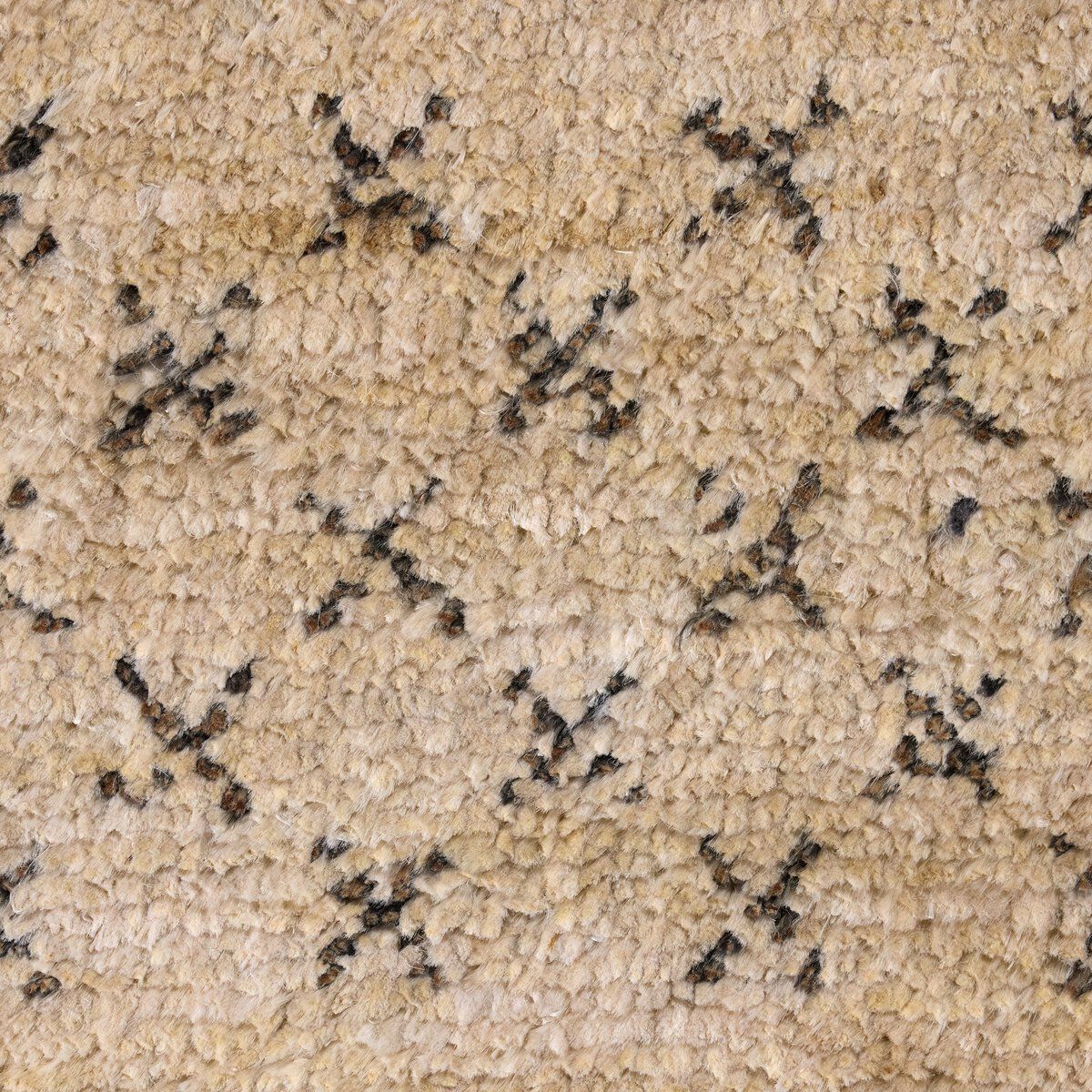 Payal Hand-knotted Rug