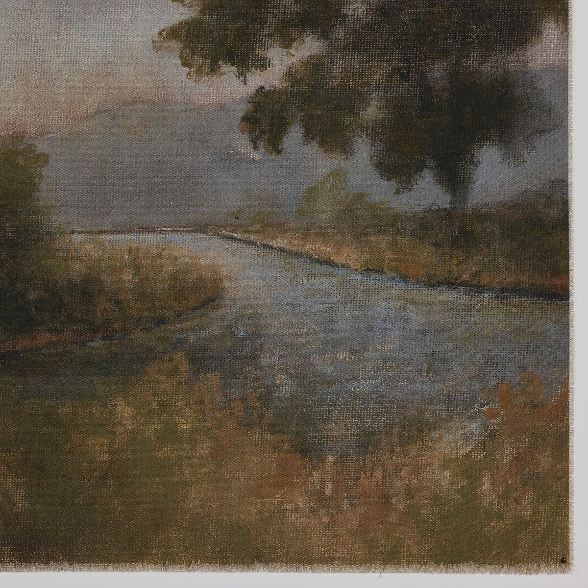 Morning Glory By Aileen Fitzgerald