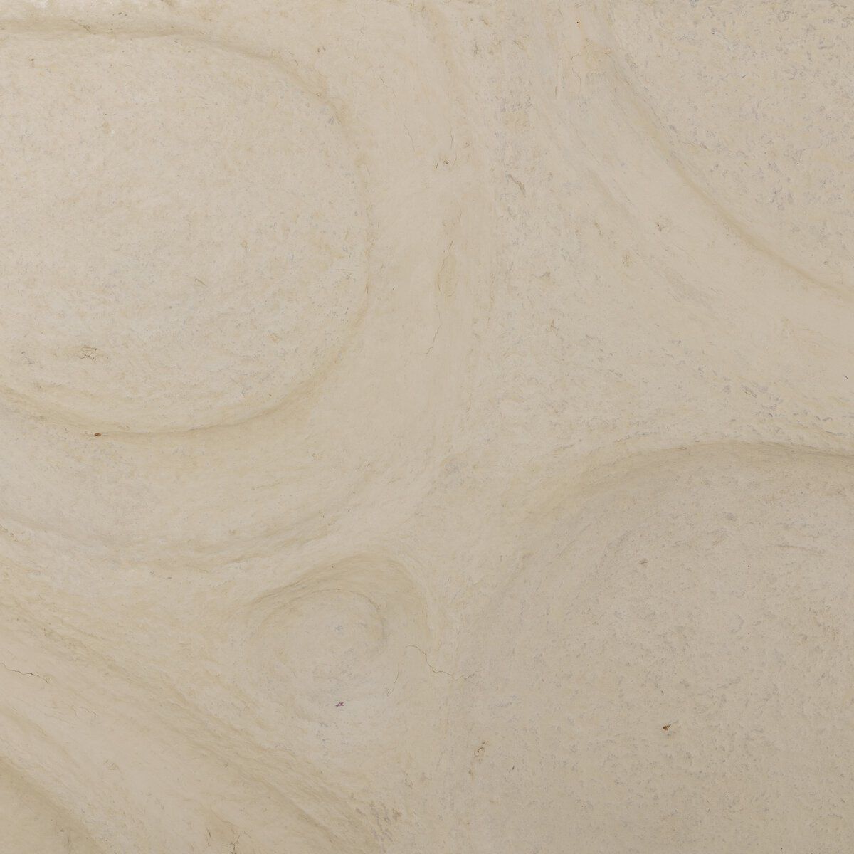 Organic Relief Sculpture