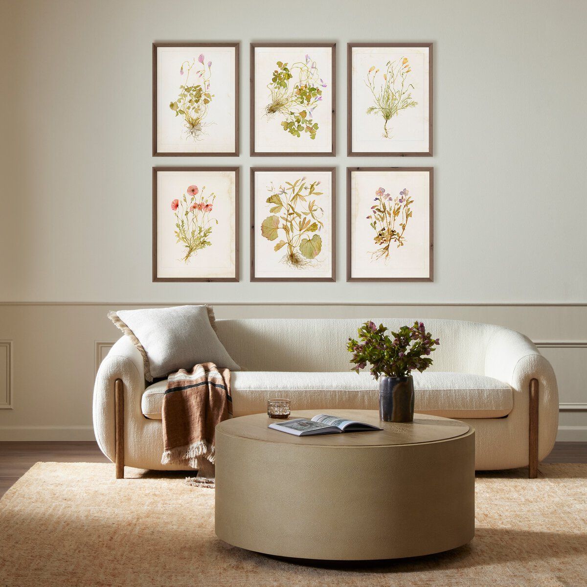 Herbarium Set By Laurel-dawn Latshaw