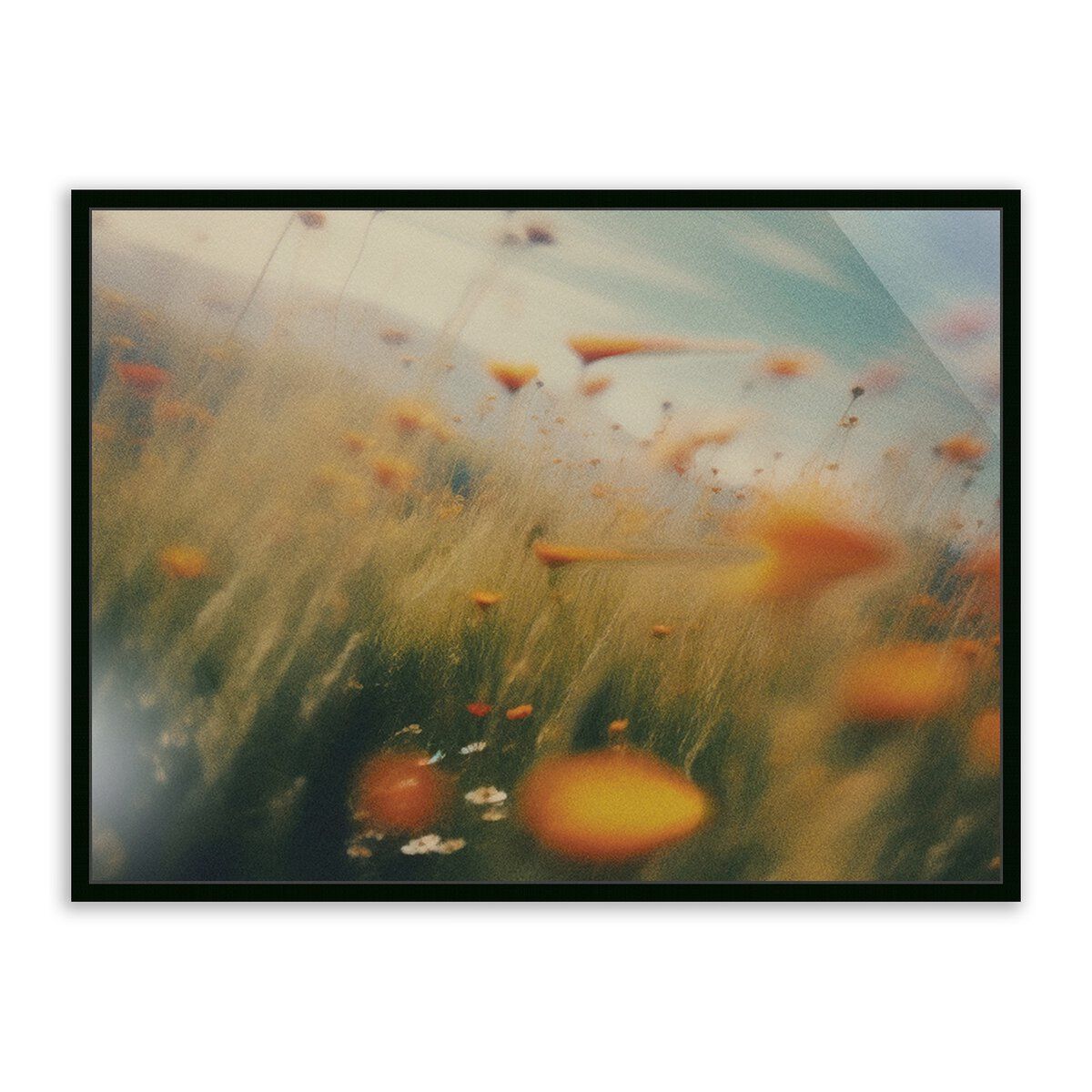 Prairie I By Coup D'esprit