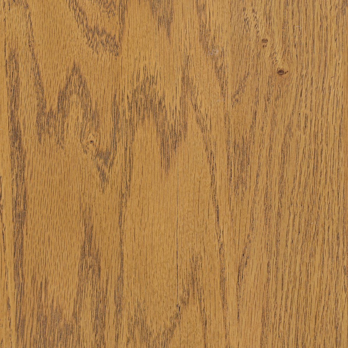 Ripley Bar + Counter Stool
