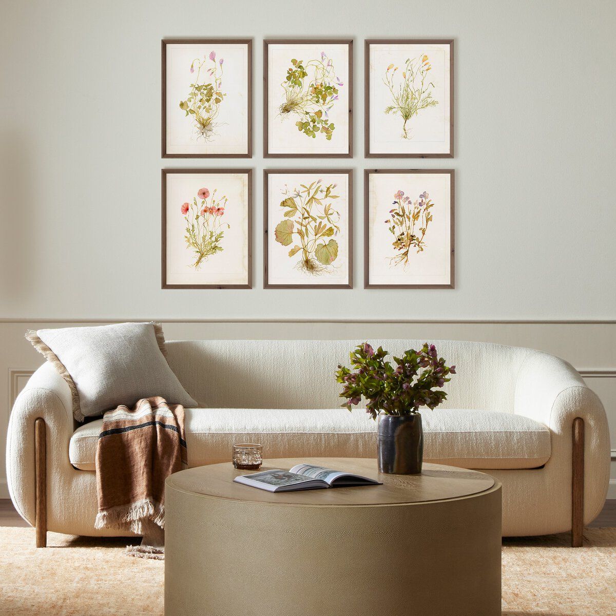 Herbarium Set By Laurel-dawn Latshaw